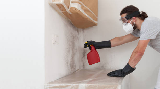 Professional Mold Testing technician working in Fort Hill, PA