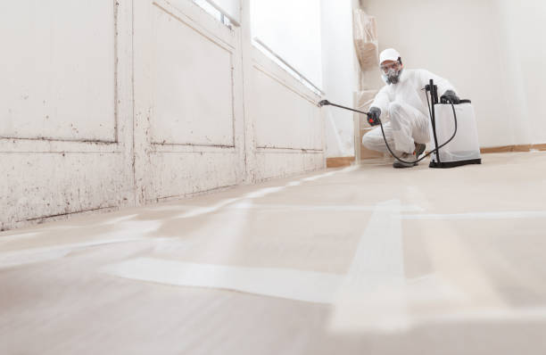 24/7 Emergency Mold Testing experts in Fort Hill, PA