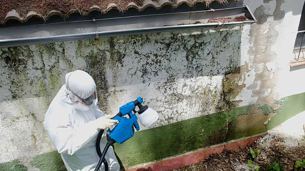 Trusted Mold Testing service in Fort Hill, PA - Cheap Mold Removal